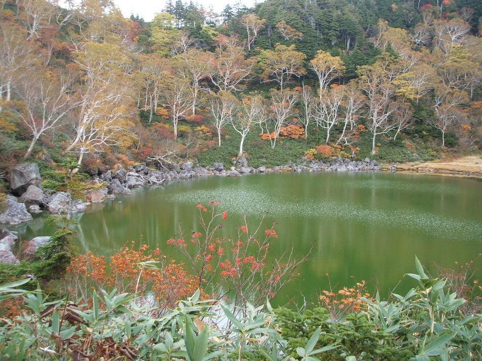 Natural Pension Pumpkin Otari Bagian luar foto